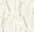 Antonina Vella Meadow Splendor Charcoal Botanical Wallpaper