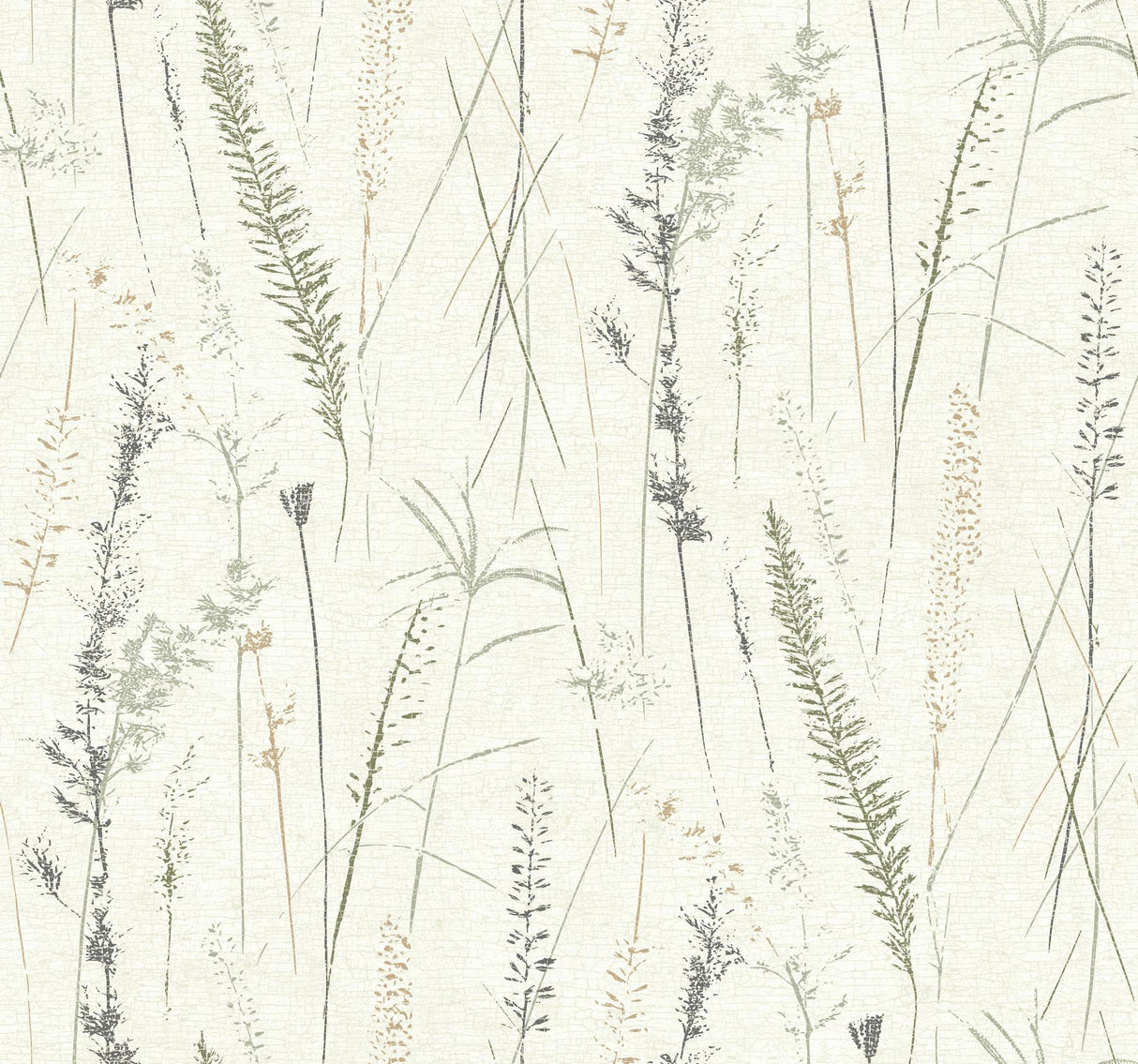 Antonina Vella Meadow Splendor Charcoal Botanical Wallpaper