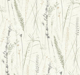 Antonina Vella Meadow Splendor Charcoal Botanical Wallpaper