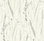 Antonina Vella Meadow Splendor Charcoal Botanical Wallpaper
