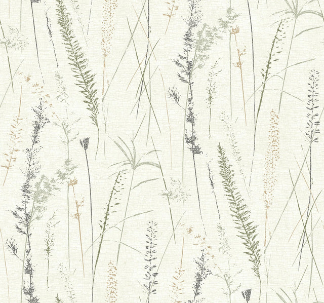 Antonina Vella Meadow Splendor Charcoal Botanical Wallpaper