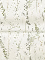 Antonina Vella Meadow Splendor Charcoal Botanical Wallpaper