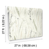 Antonina Vella Meadow Splendor Charcoal Botanical Wallpaper