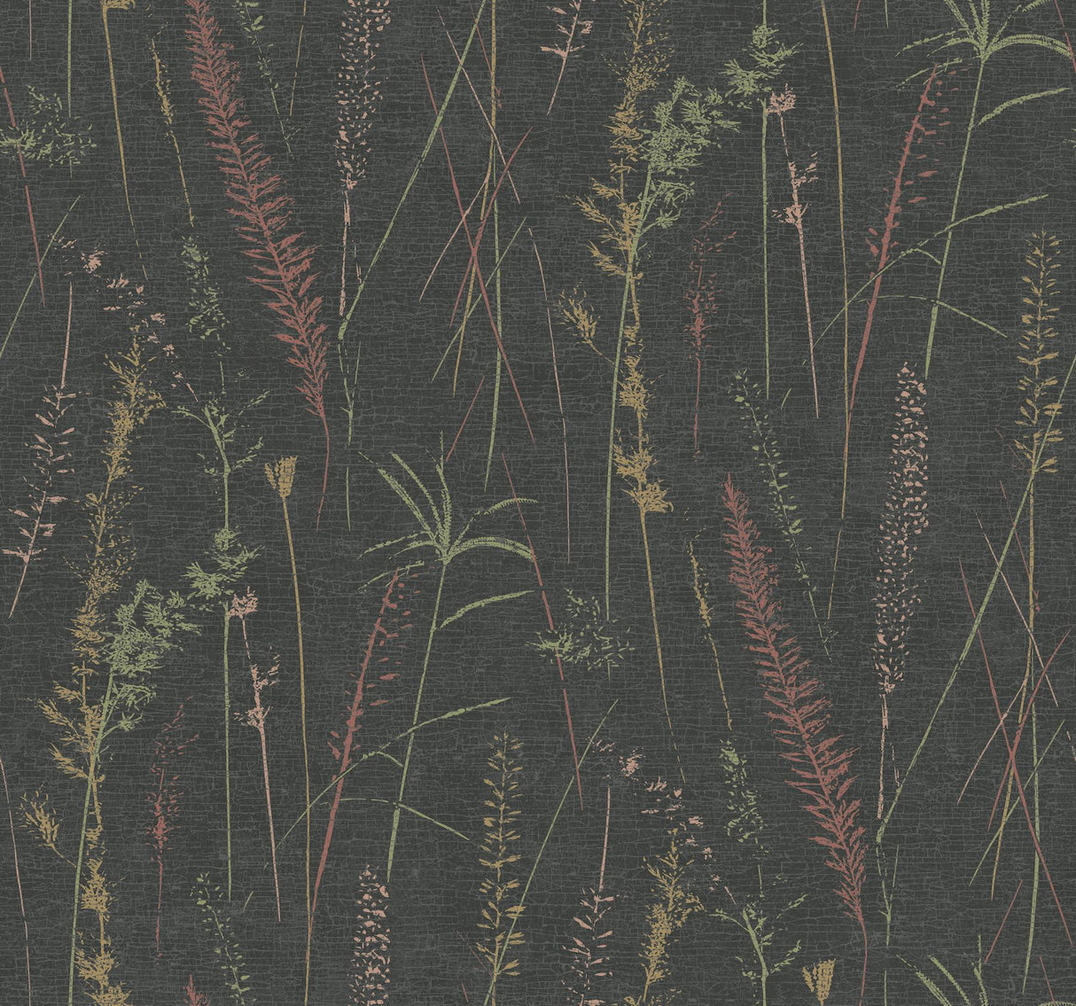 Antonina Vella Meadow Splendor Black Botanical Wallpaper