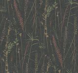 Antonina Vella Meadow Splendor Black Botanical Wallpaper