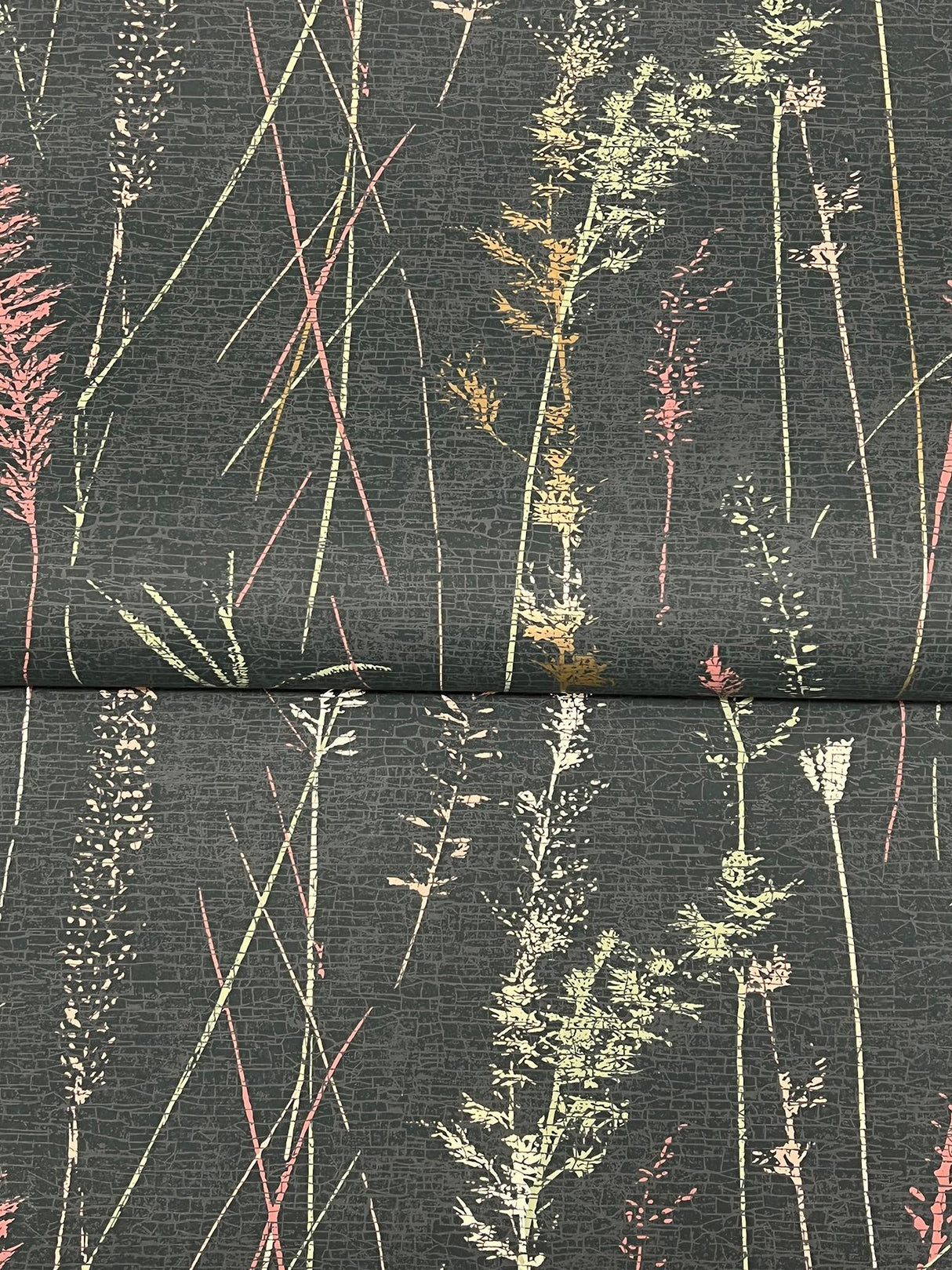 Antonina Vella Meadow Splendor Black Botanical Wallpaper