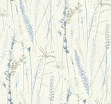 Antonina Vella Meadow Splendor Blue Botanical Wallpaper