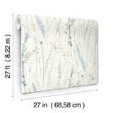 Antonina Vella Meadow Splendor Blue Botanical Wallpaper
