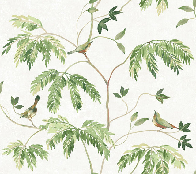 Antonina Vella Cillian Green Botanical Bird Trail Wallpaper