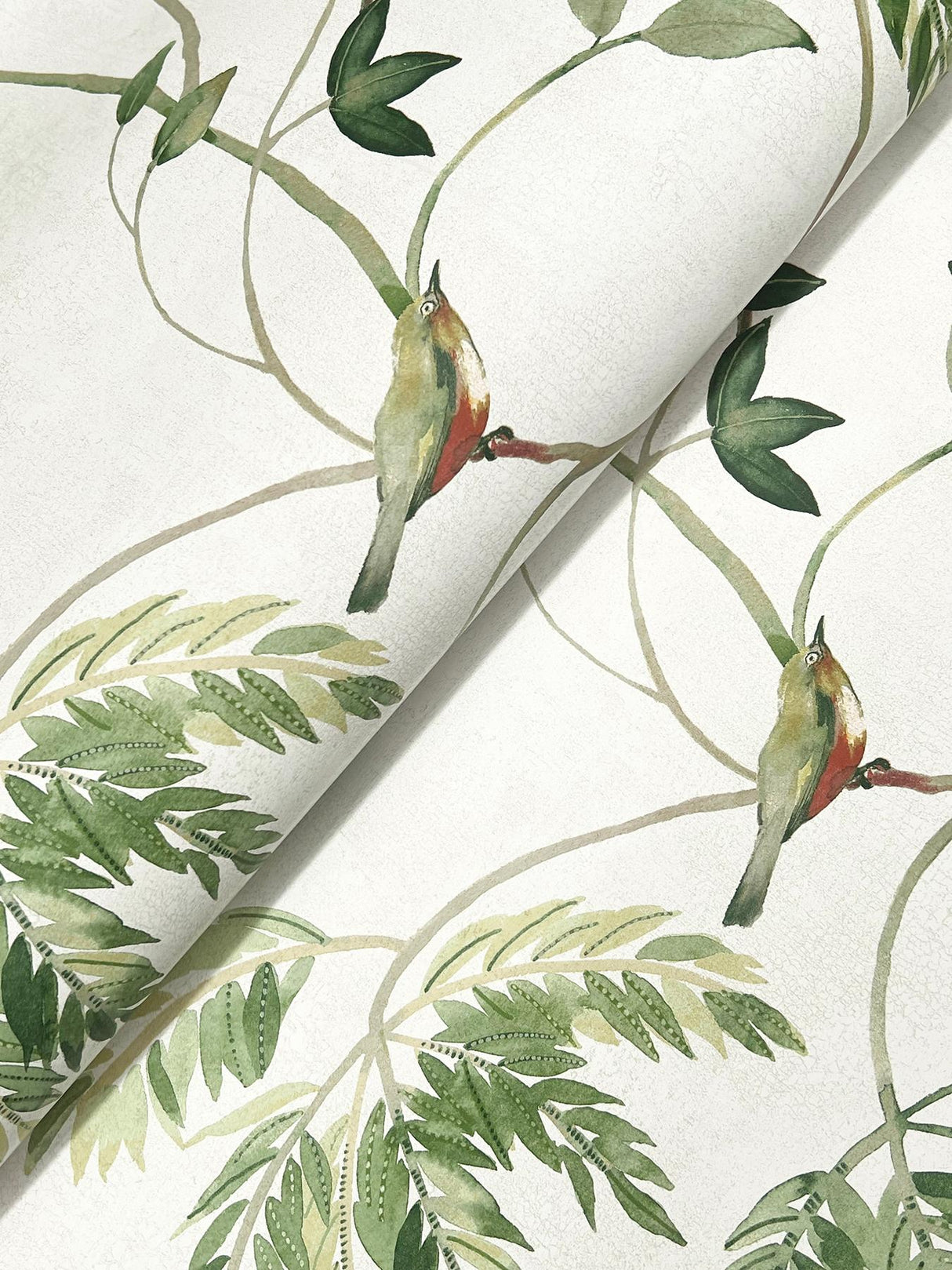 Antonina Vella Cillian Green Botanical Bird Trail Wallpaper