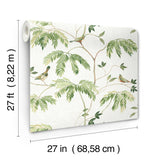 Antonina Vella Cillian Green Botanical Bird Trail Wallpaper