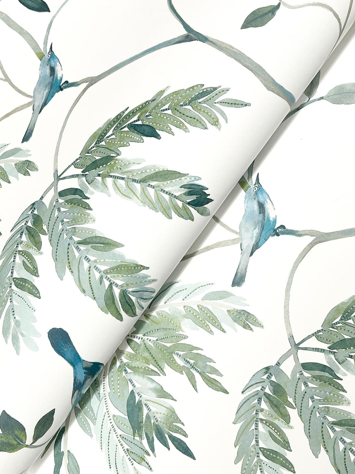 Antonina Vella Cillian Blue Botanical Bird Trail Wallpaper