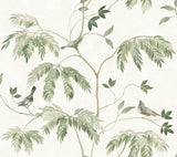 Antonina Vella Cillian Dark Green Botanical Bird Trail Wallpaper