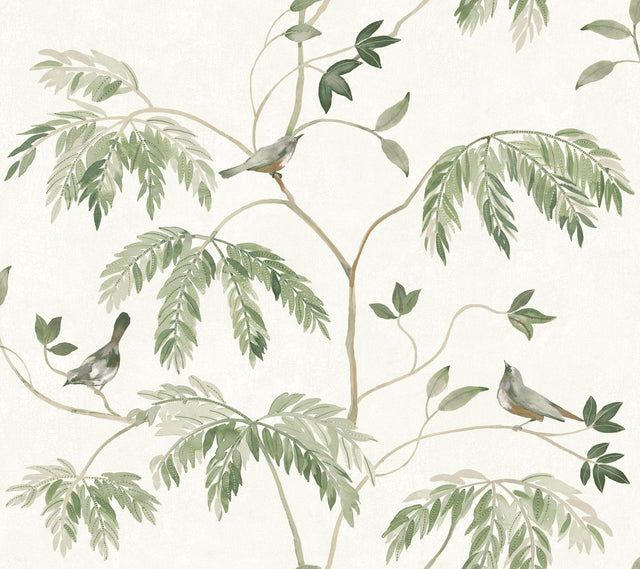 Antonina Vella Cillian Dark Green Botanical Bird Trail Wallpaper