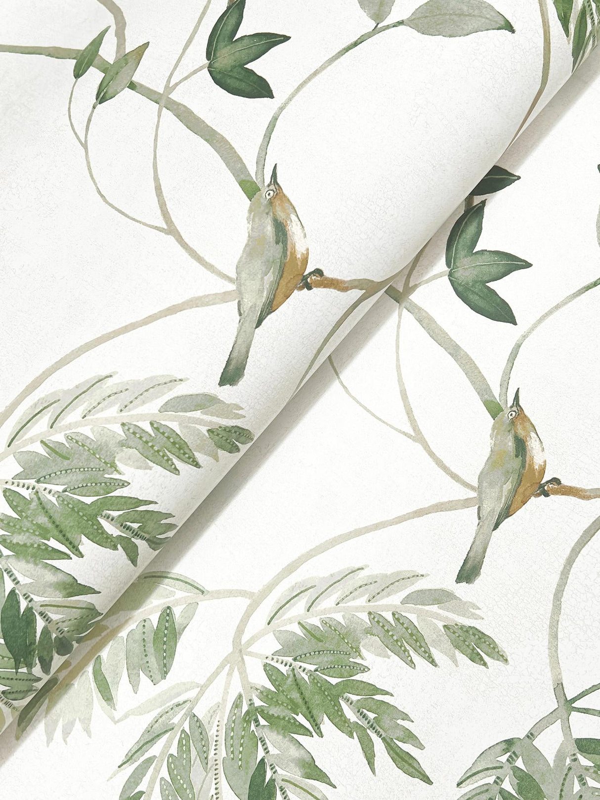 Antonina Vella Cillian Dark Green Botanical Bird Trail Wallpaper