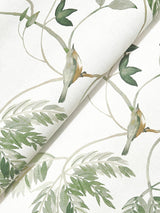 Antonina Vella Cillian Dark Green Botanical Bird Trail Wallpaper