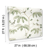 Antonina Vella Cillian Dark Green Botanical Bird Trail Wallpaper