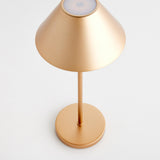 Napa Champagne Gold ALLUNA CORDLESS LED LAMP 14"