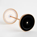 Napa Champagne Gold ALLUNA CORDLESS LED LAMP 14"