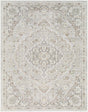 Livabliss Carmela BOCM-2302 5'3" x 7' Machine Woven Rug