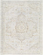 Livabliss Carmela BOCM-2303 5'3" x 7' Machine Woven Rug