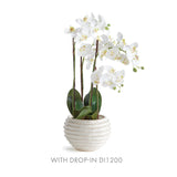 Napa White AVANI POT LARGE