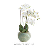 Napa Green AVANI POT LARGE