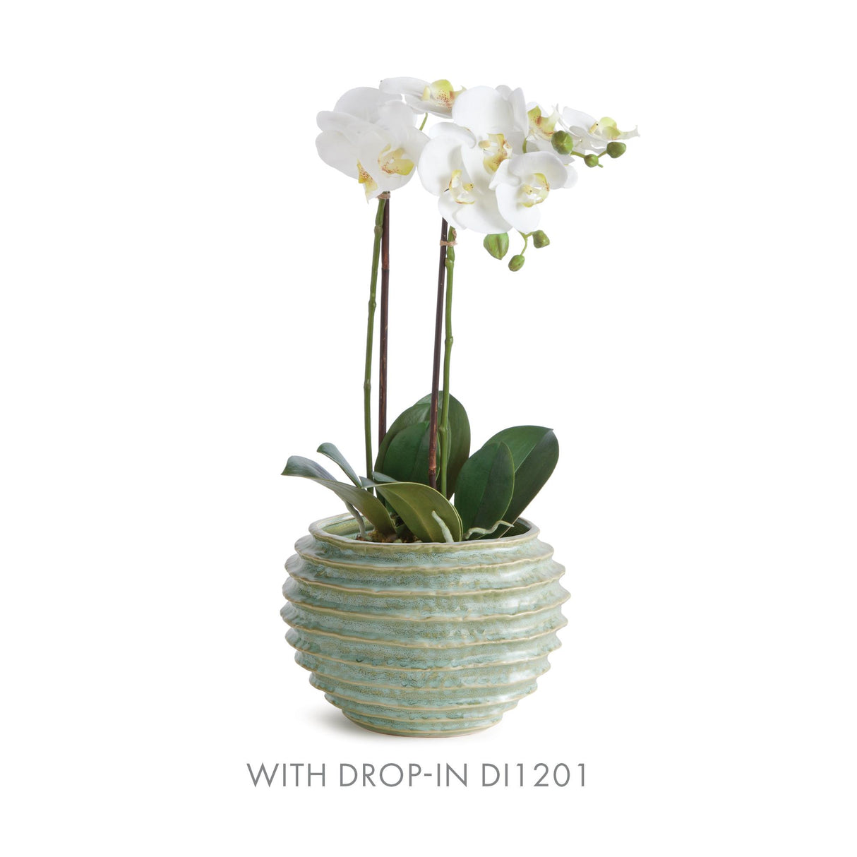 Napa Green AVANI POT LARGE