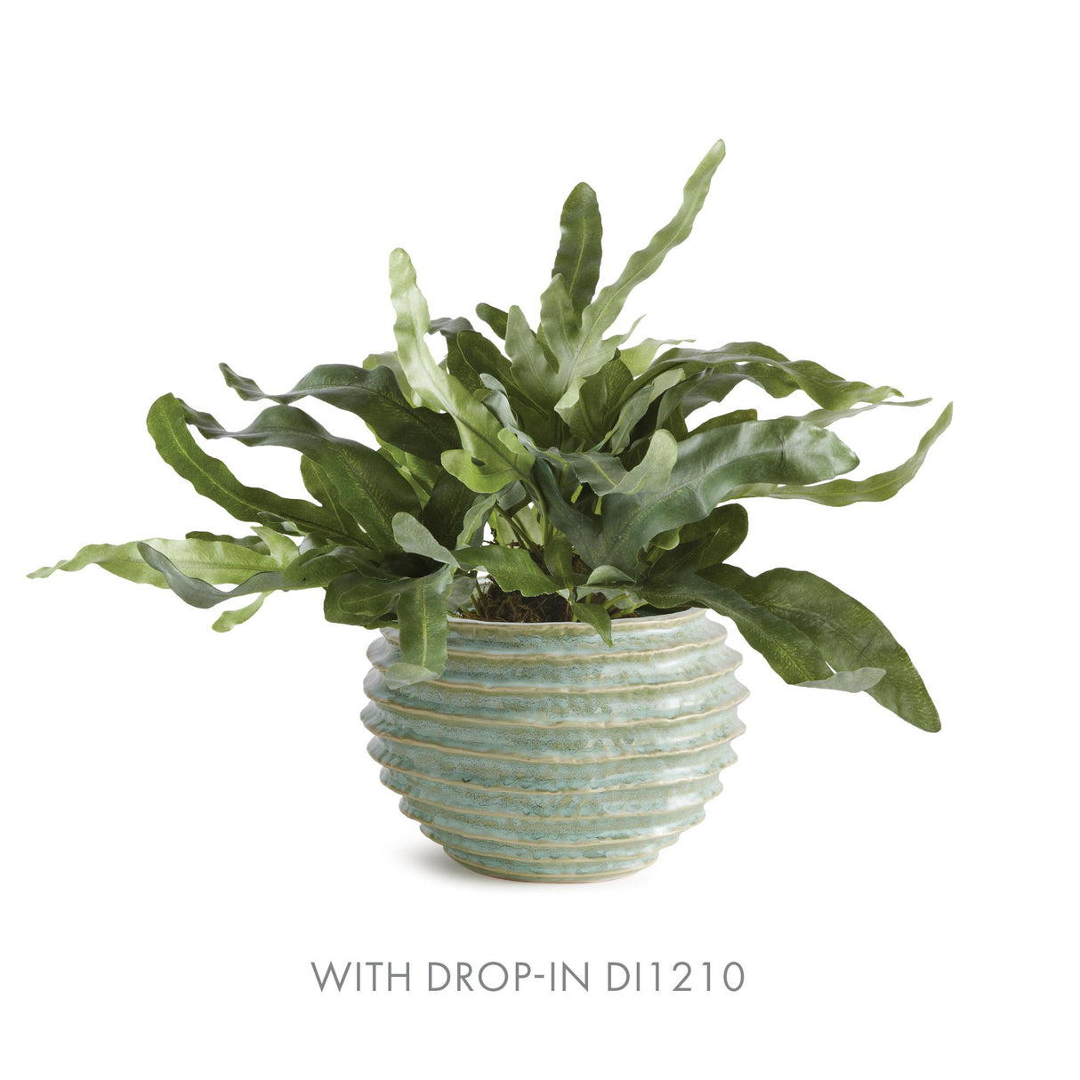 Napa Green AVANI POT LARGE
