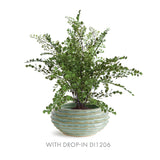 Napa Green AVANI DECORATIVE BOWL