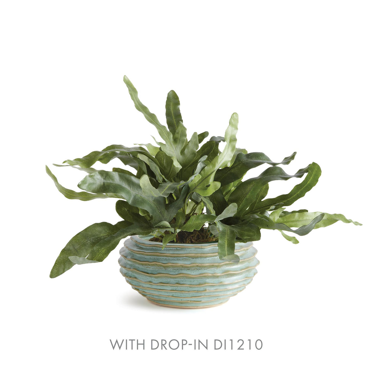 Napa Green AVANI DECORATIVE BOWL