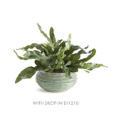 Napa Green AVANI DECORATIVE BOWL