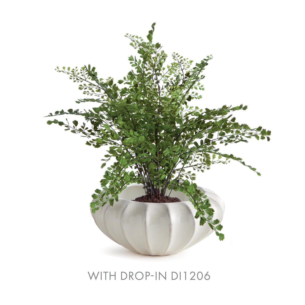 Napa White BLECKLYN DECORATIVE BOWL LARGE