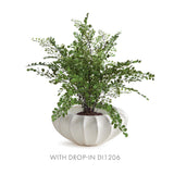 Napa White BLECKLYN DECORATIVE BOWL LARGE