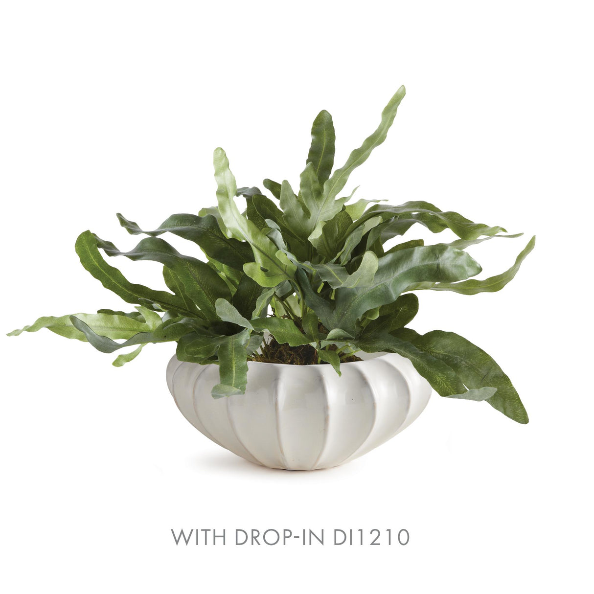 Napa White BLECKLYN DECORATIVE BOWL LARGE