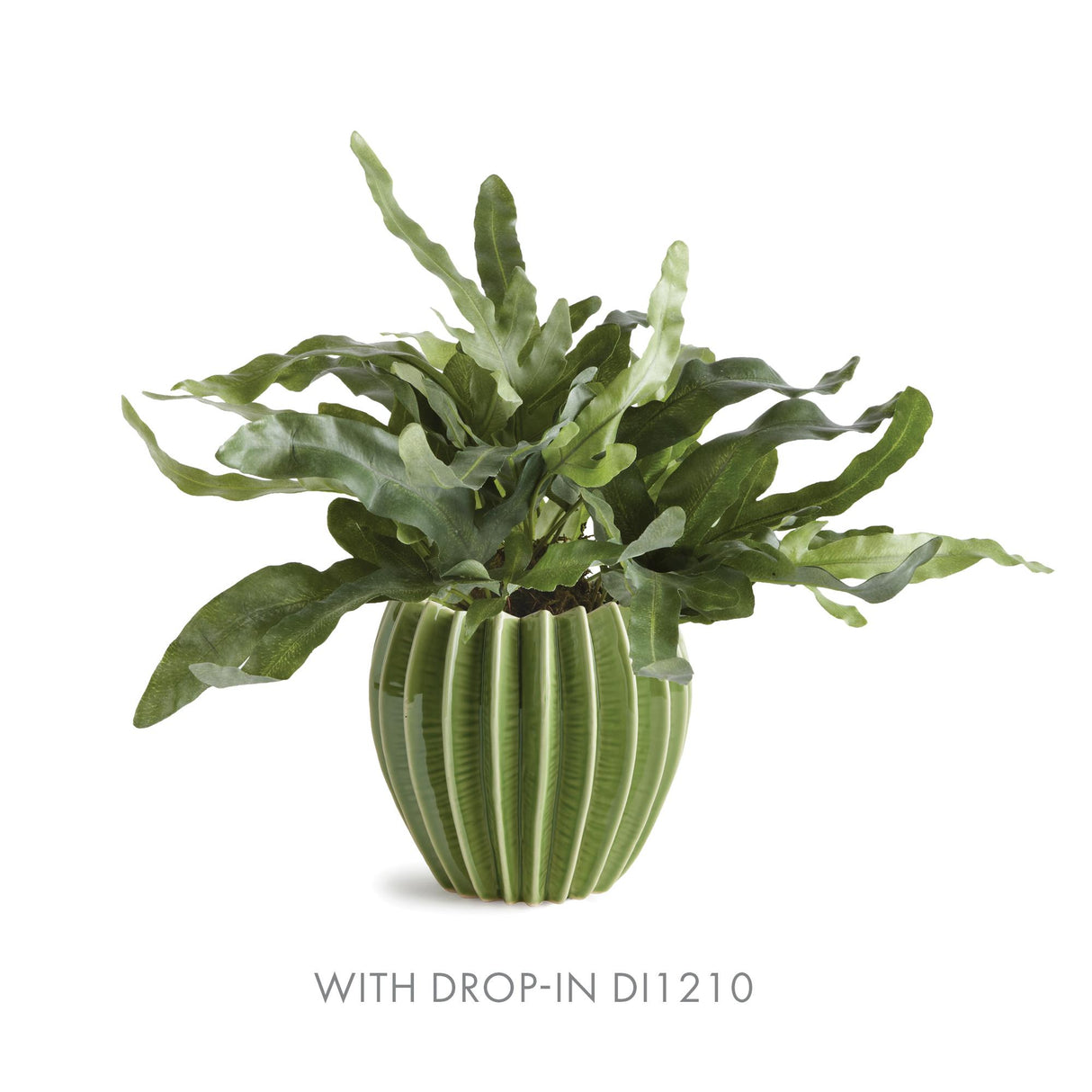 Napa Green NIKKO POT LARGE