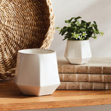 Napa White APEX POTS, SET OF 2