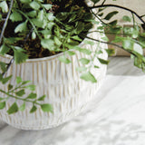 Napa White VISTA POT