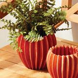 Napa Orange NIKKO POT LARGE