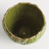 Napa Green EVELYN POT SMALL
