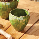 Napa Green EVELYN POT SMALL