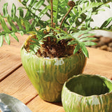 Napa Green EVELYN POT LARGE