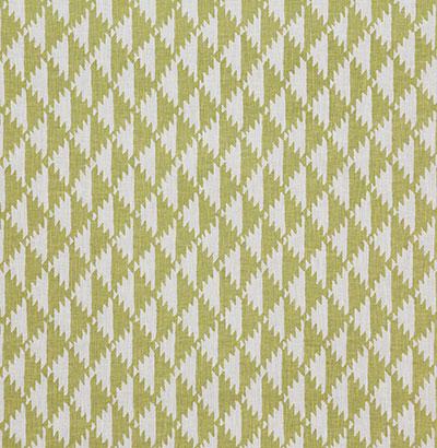 Pindler BORREGO GREEN Fabric