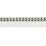 Schumacher Green Bolander Cord Indoor/Outdoor