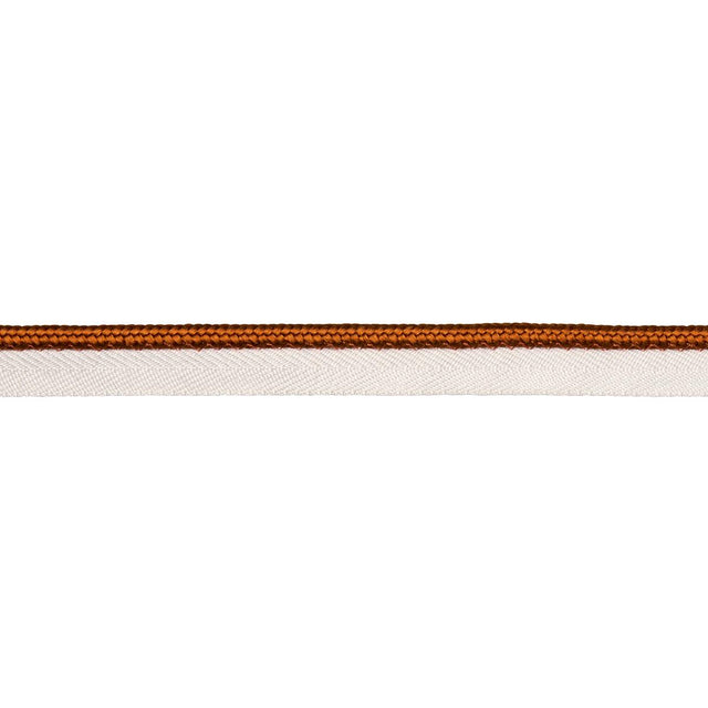 Schumacher Spice Gustave Silk Lip Cord Medium