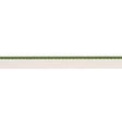 Schumacher Green Gustave Silk Lip Cord Narrow