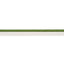 Schumacher Green Gustave Silk Lip Cord Medium
