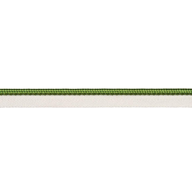 Schumacher Green Gustave Silk Lip Cord Medium