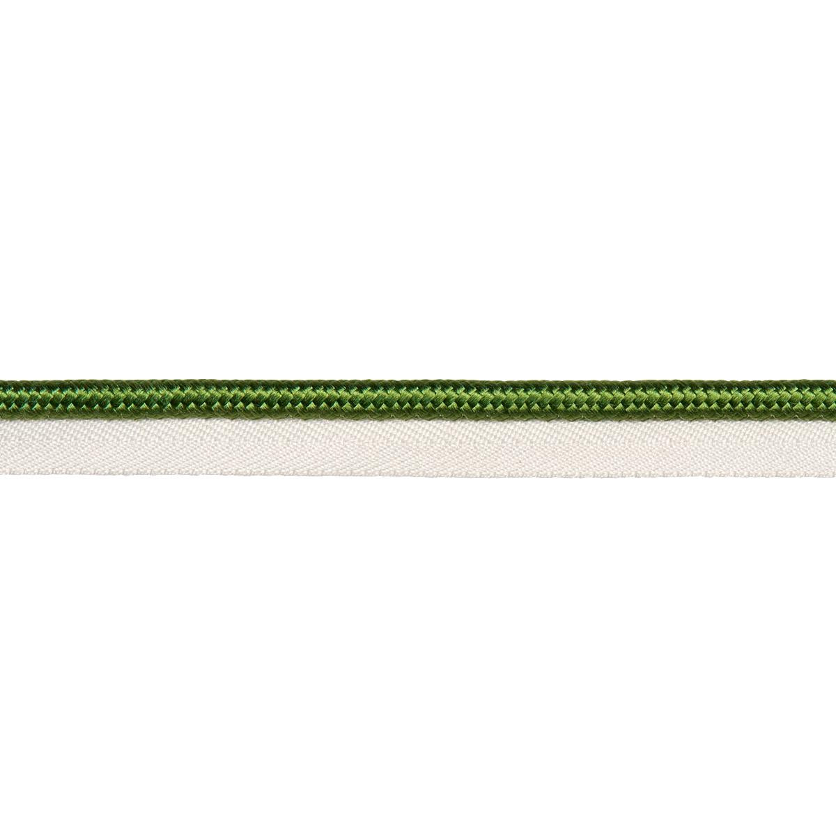 Schumacher Green Gustave Silk Lip Cord Wide