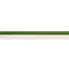 Schumacher Green Gustave Silk Lip Cord Wide